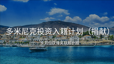 Ͷ뼮ƻף